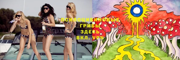 прущие крисы Балахна