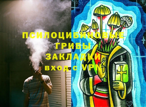 крисы Горно-Алтайск