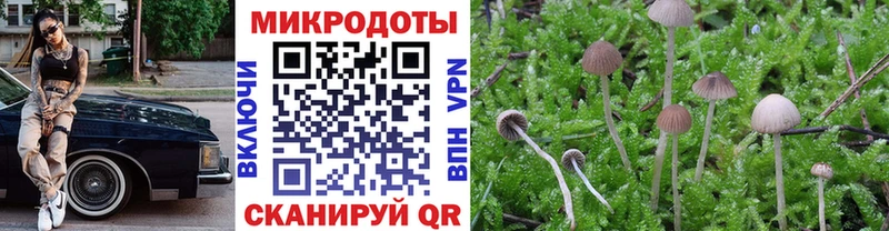 Галлюциногенные грибы Psilocybine cubensis  что такое наркотик  Тюкалинск 